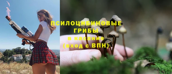 винт Аркадак