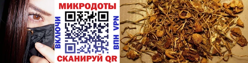 Псилоцибиновые грибы Psilocybe  даркнет как зайти  Ленинск 